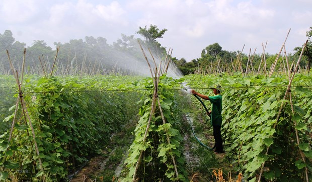 Chính sách hỗ trợ xây dựng nông thôn mới