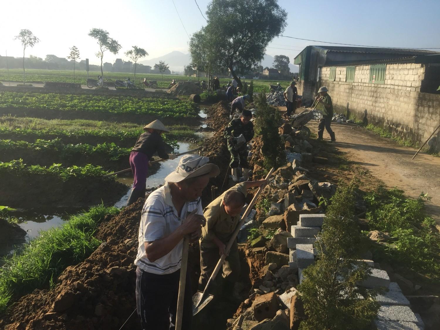 Hội Cựu chiến binh thôn Thành Yên kè láng mở rộng hành lang tuyến đường mẫu